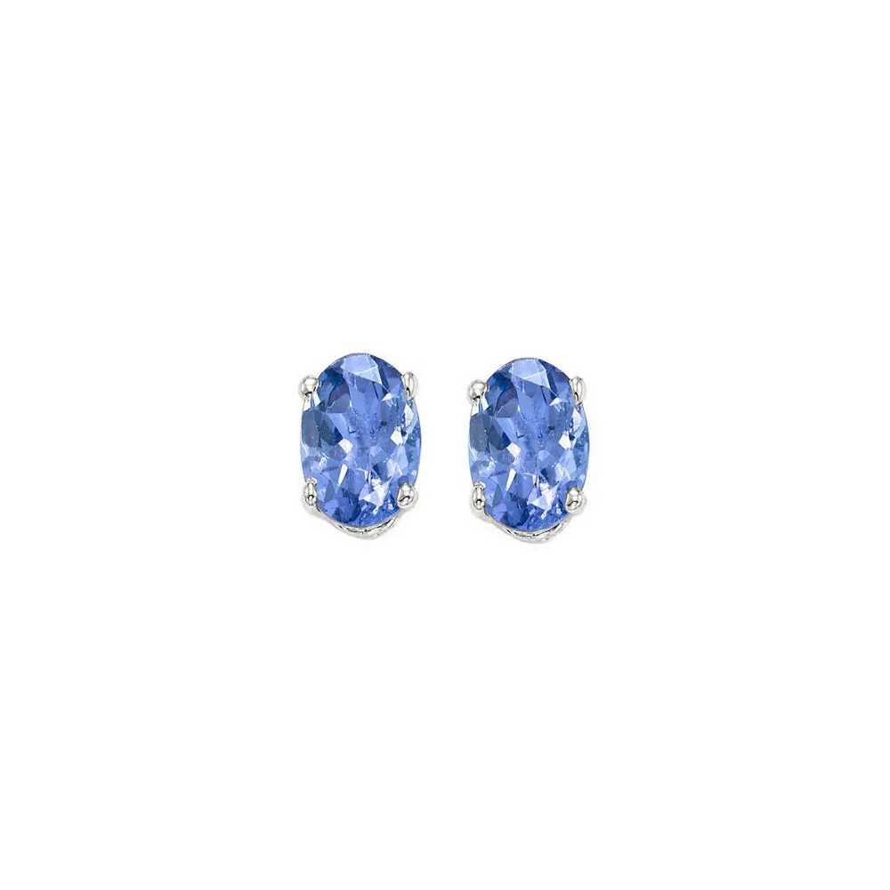 14KT White Gold Classic Book Color Stud Earrings