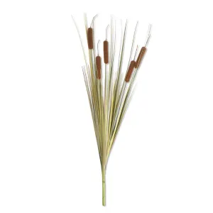 25" Light Brown 5 Head Cattail Stem