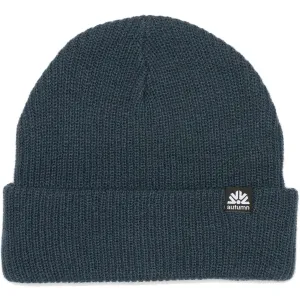 Autumn Simple Beanie Slate
