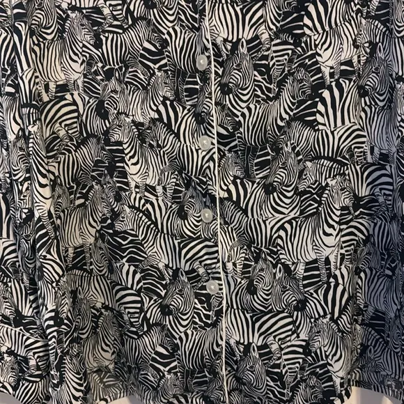 Banana Republic Satin Zebra Print Pajama Set Large