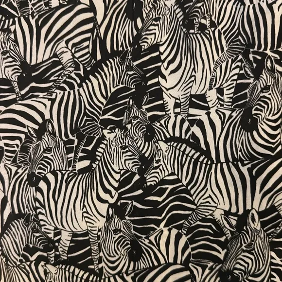 Banana Republic Satin Zebra Print Pajama Set Large