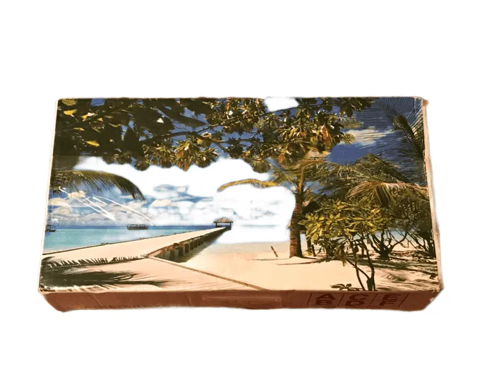 Beach 1000PC Puzzle (027)