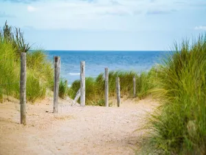 Beach Paint By Numbers Kits UK PX2902686