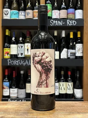 Bodega Pablo Fallabrino - Anarkia Tannat