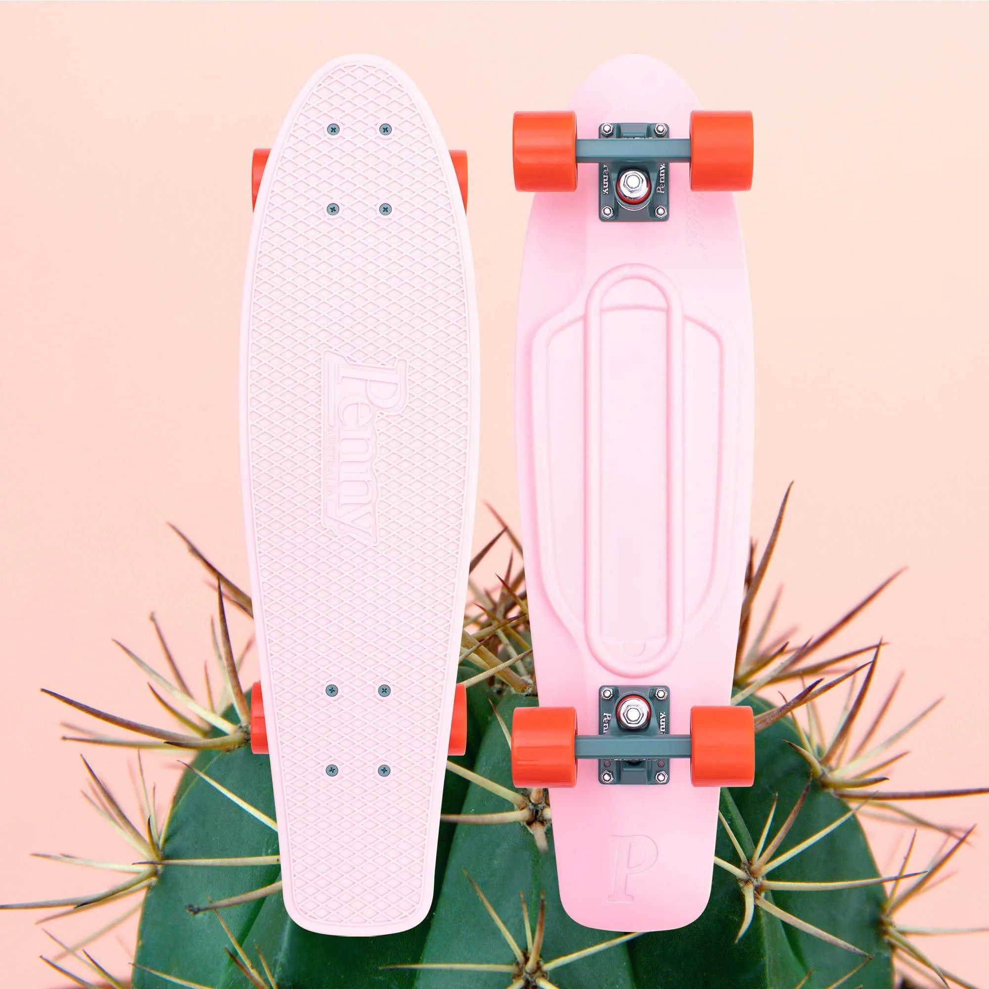 Cactus Wanderlust 27"