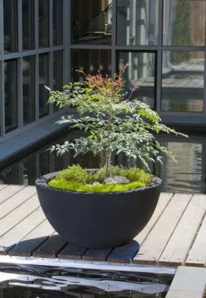Campania Piccadilly Planters