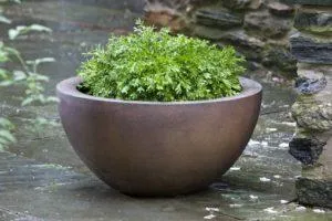 Campania Piccadilly Planters