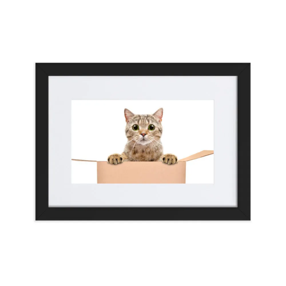 Cat in the Box Framed Poster With Mat