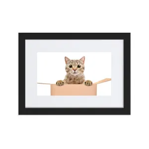 Cat in the Box Framed Poster With Mat