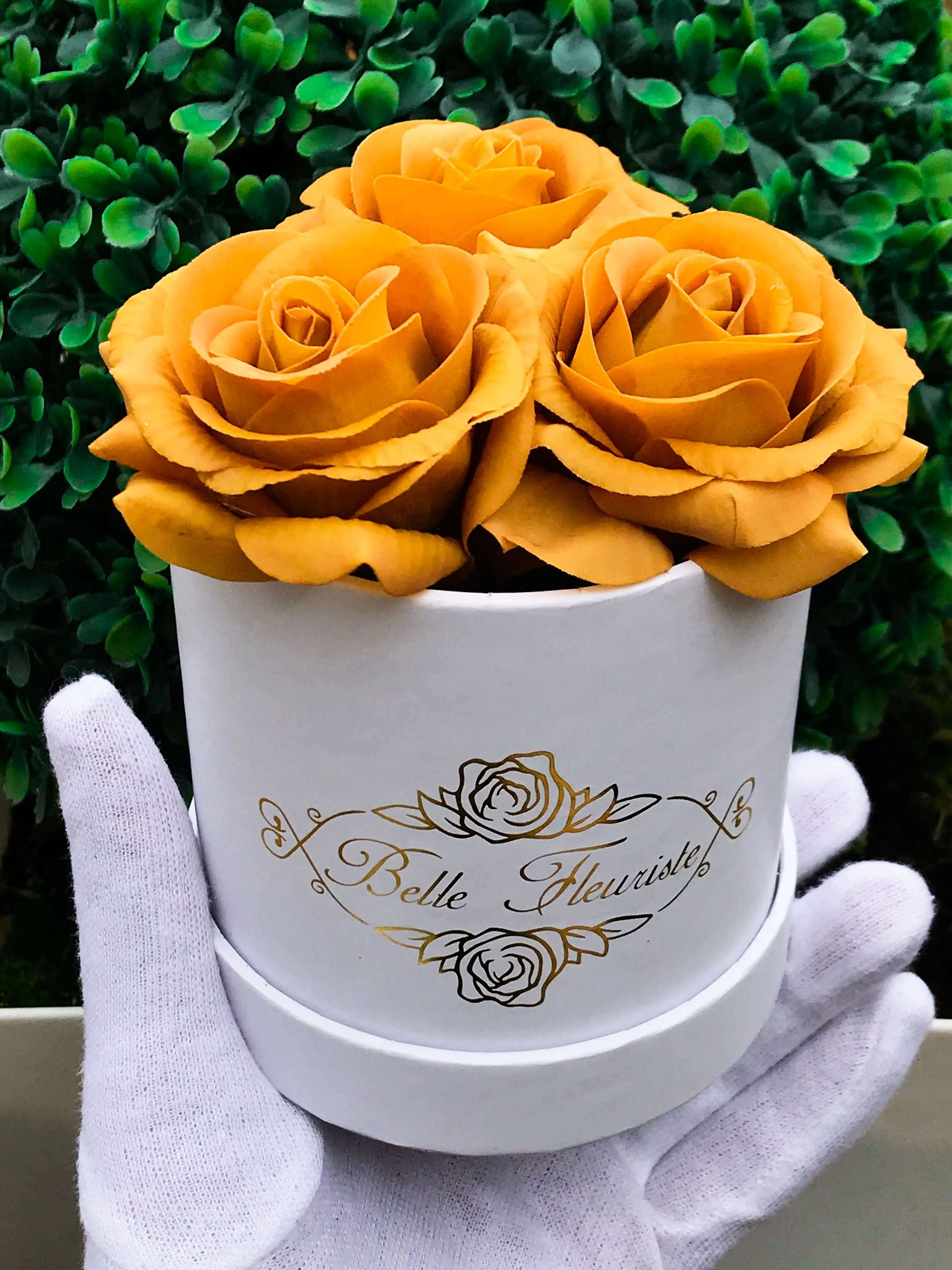 Classic Mustard Roses - White Box