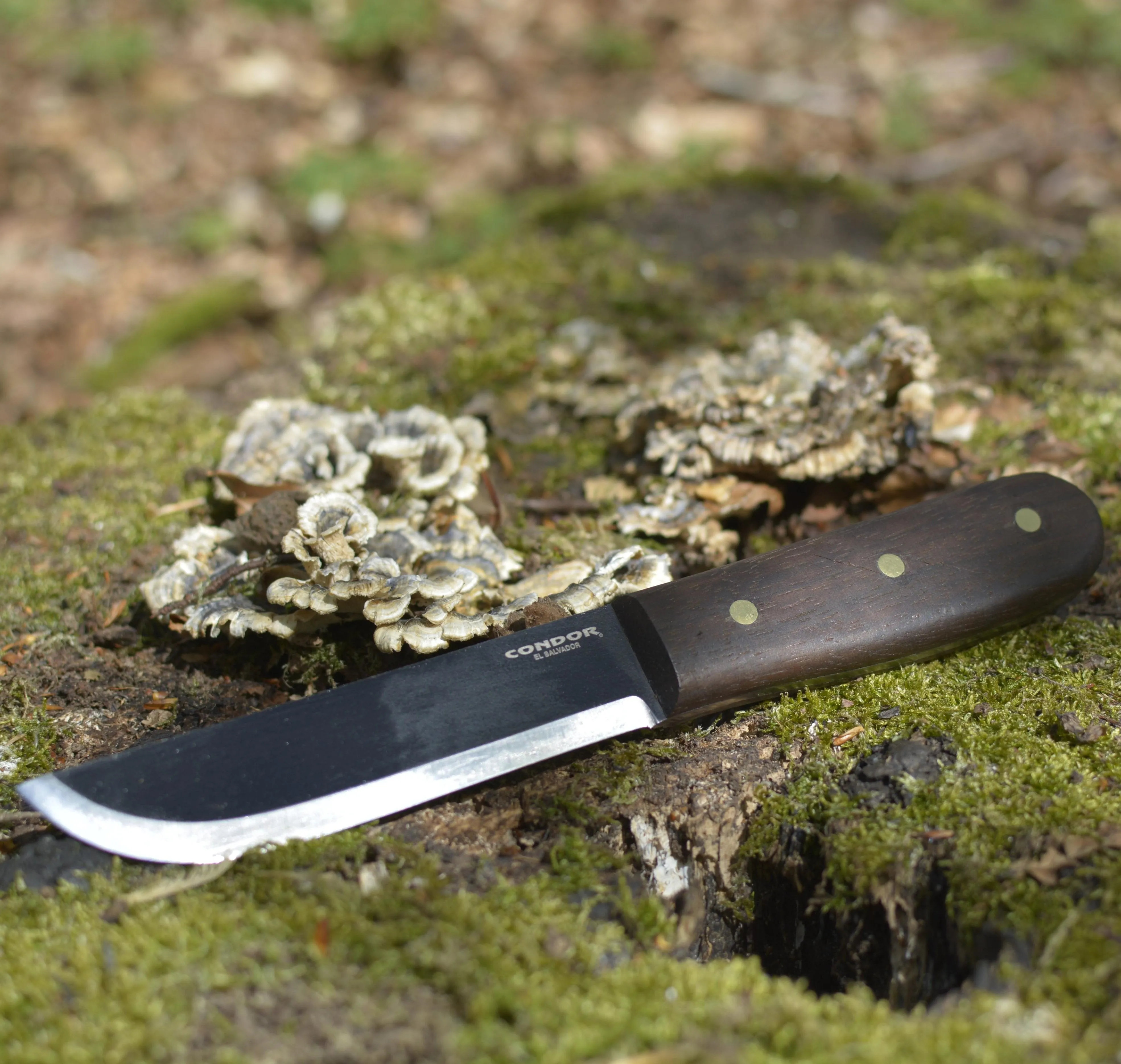 Condor Bushcraft Basic