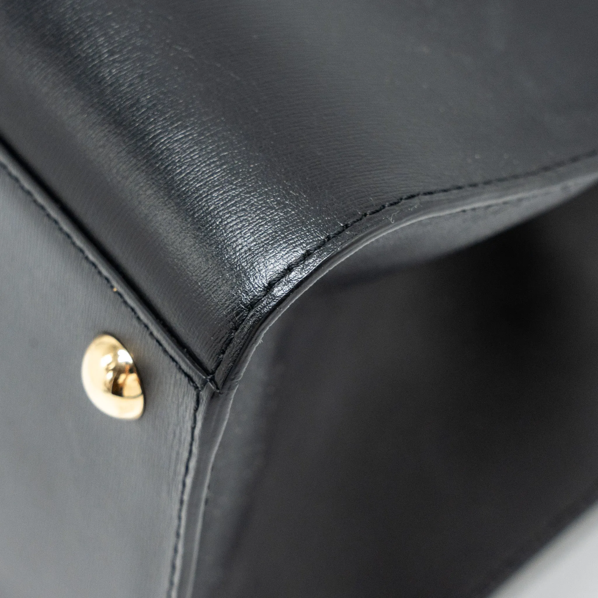 Delvaux Brilliant MM Calfskin Black GHW