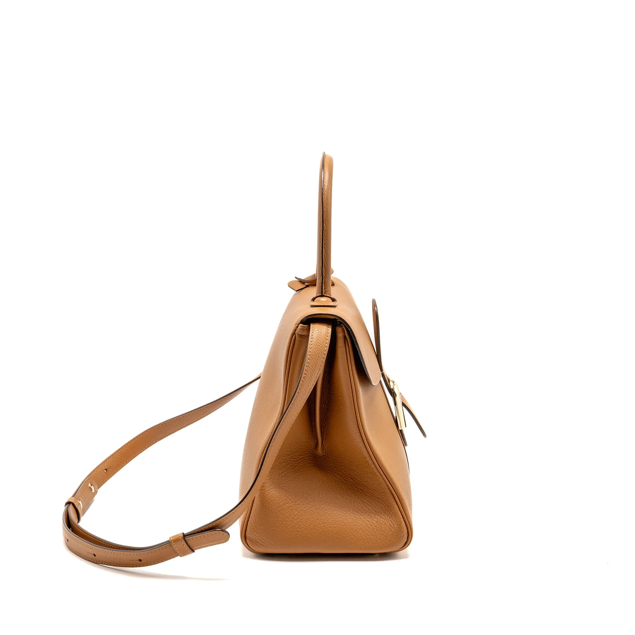 Delvaux Brilliant MM Calfskin Brown SHW