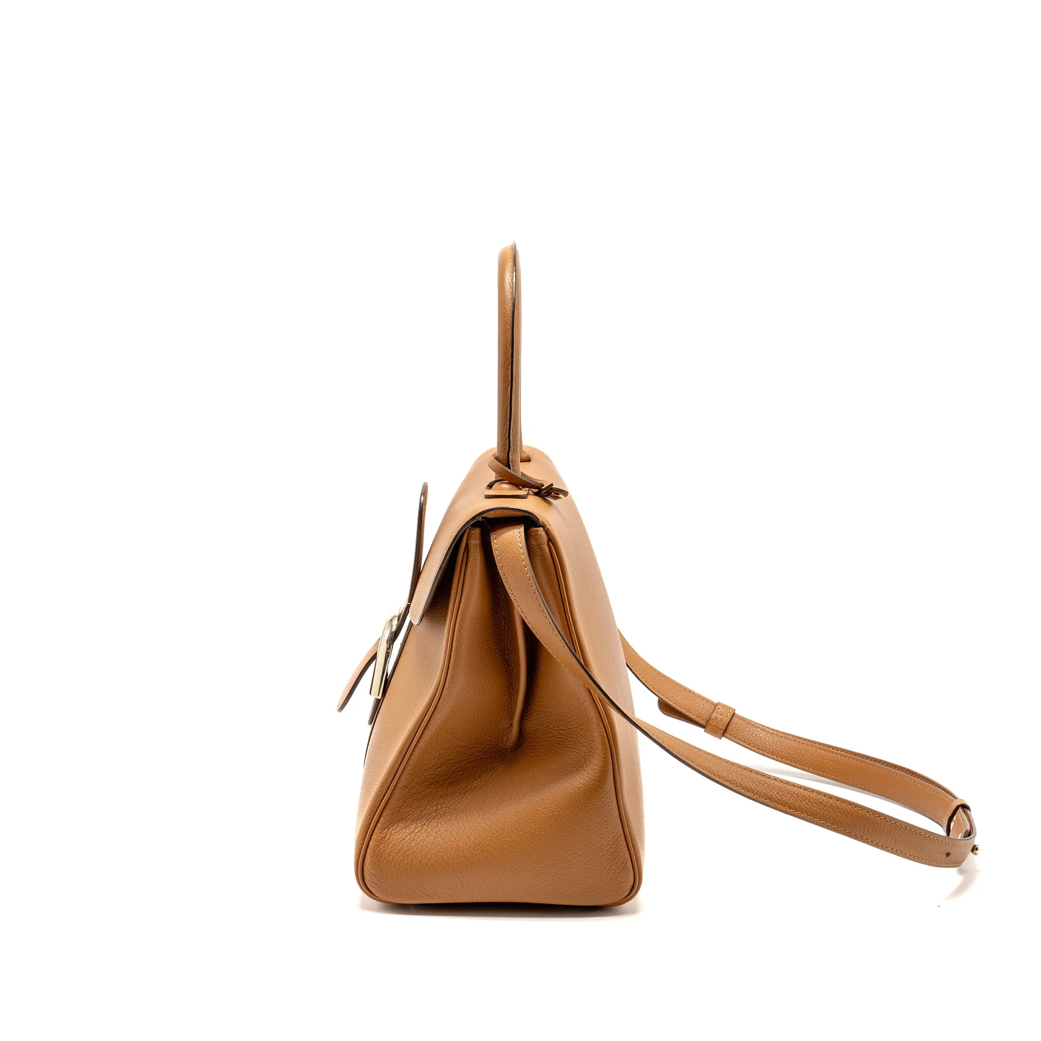 Delvaux Brilliant MM Calfskin Brown SHW