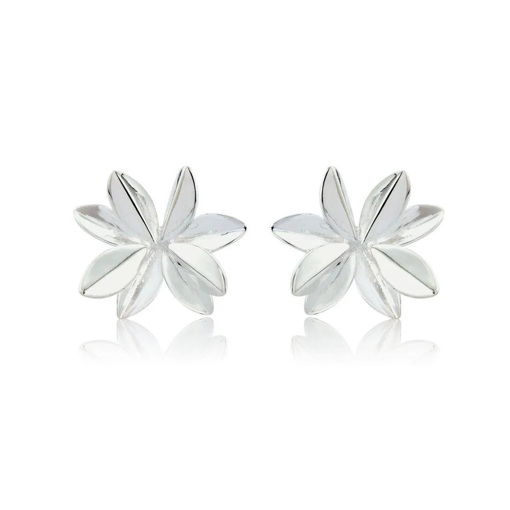 DÖGG earrings