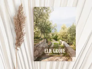 Elk Grove Retro Wall Art, California, USA