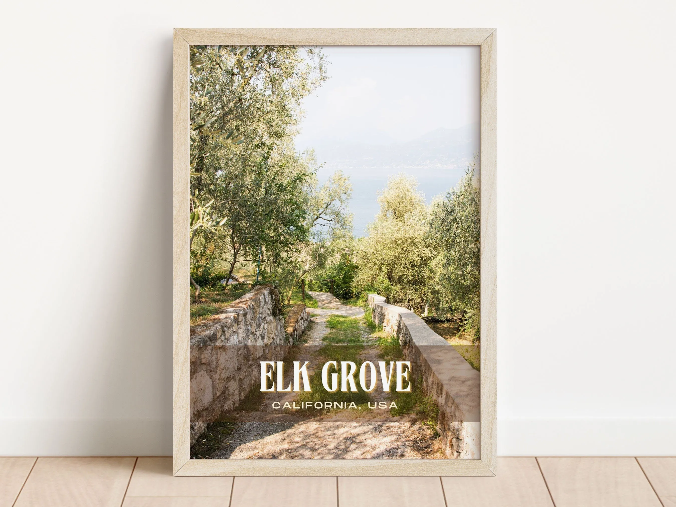 Elk Grove Retro Wall Art, California, USA