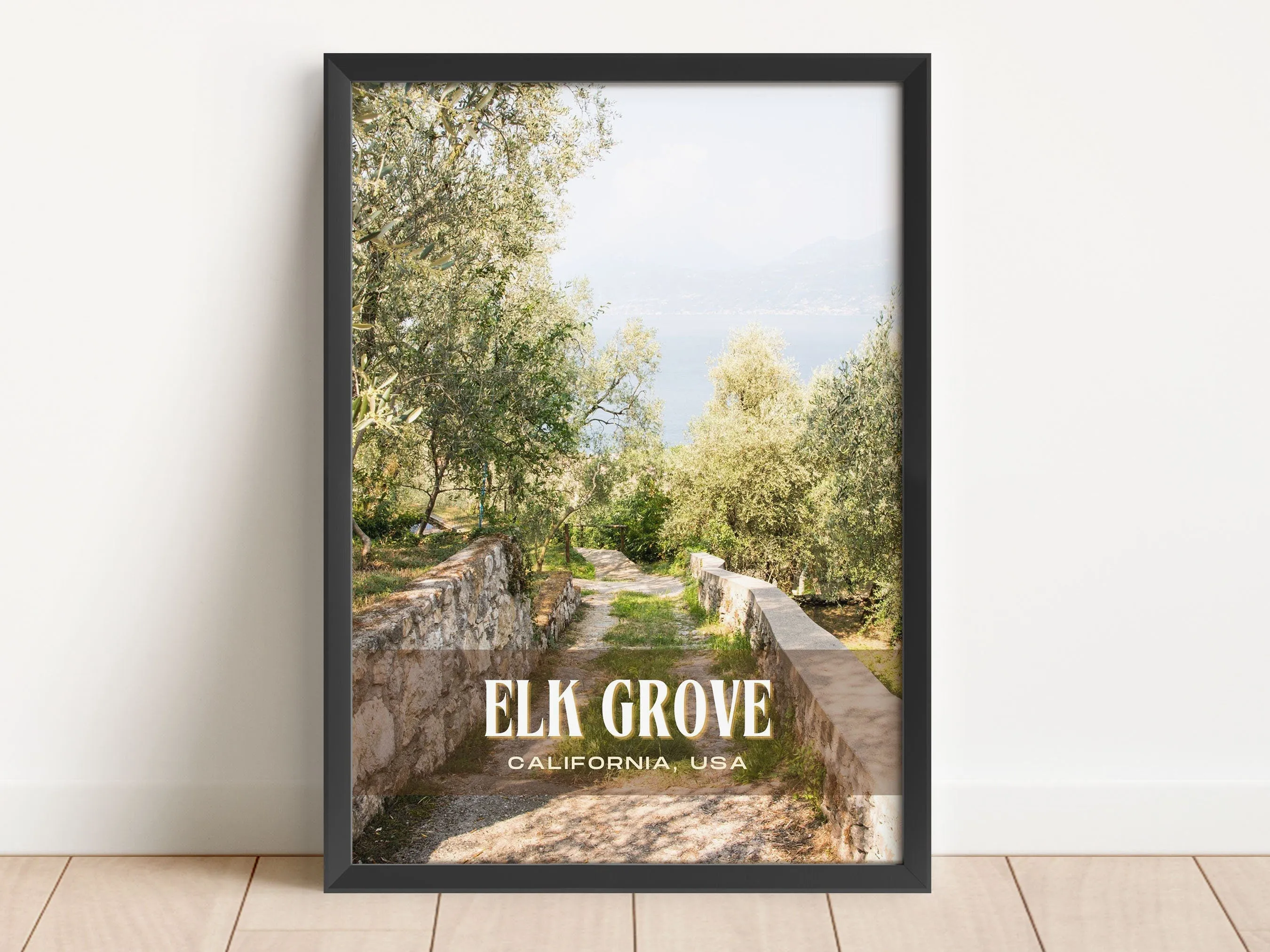 Elk Grove Retro Wall Art, California, USA