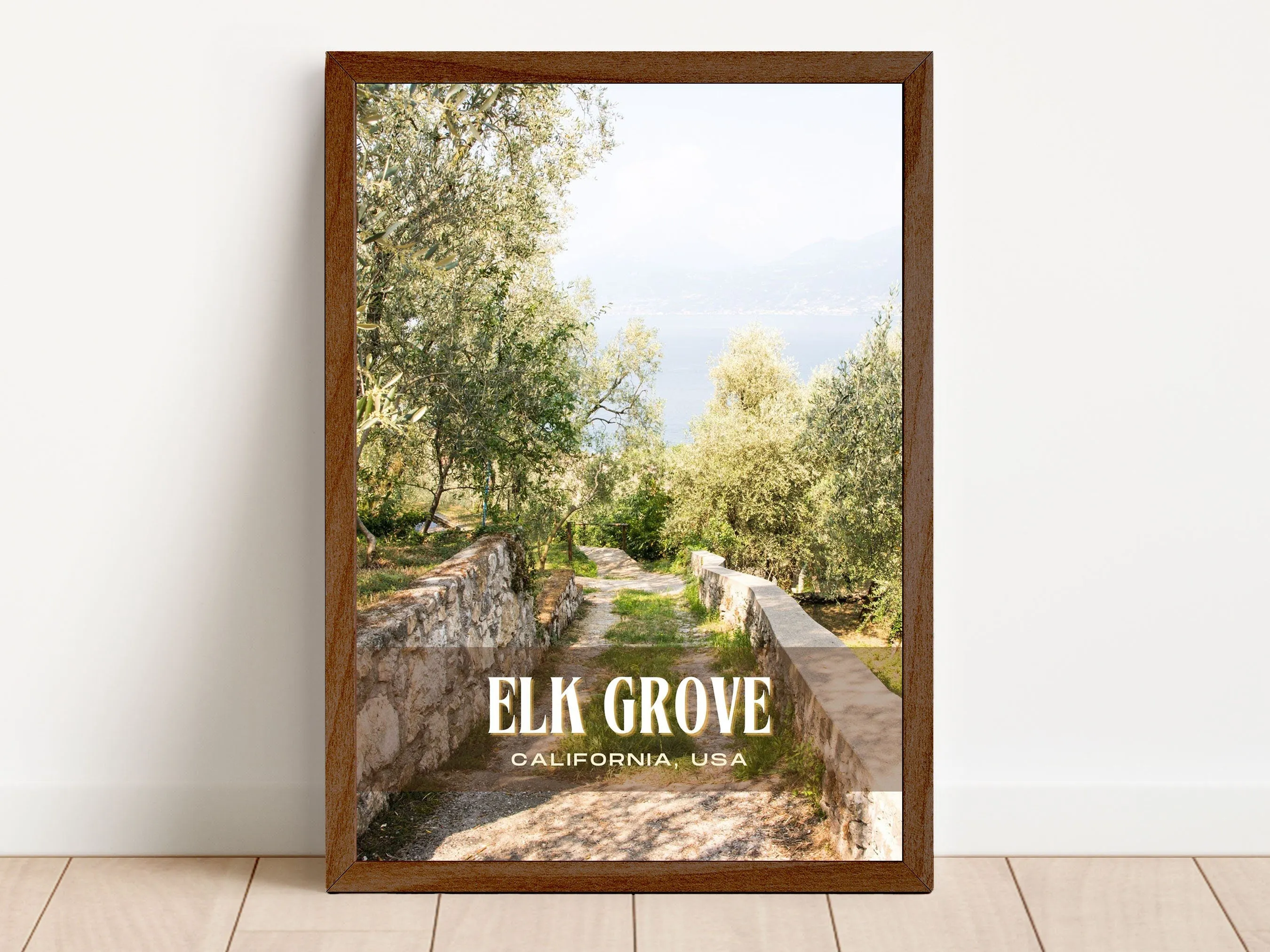 Elk Grove Retro Wall Art, California, USA