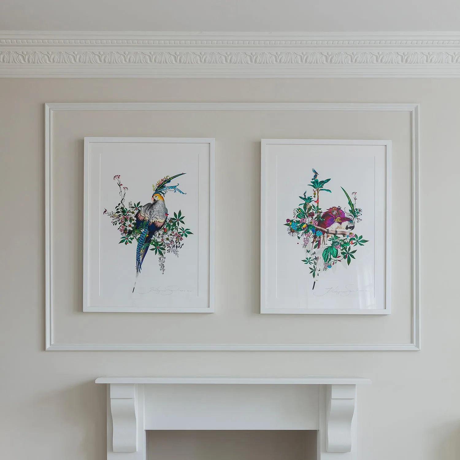 Flora & Fauna Lears - Art Print Collection