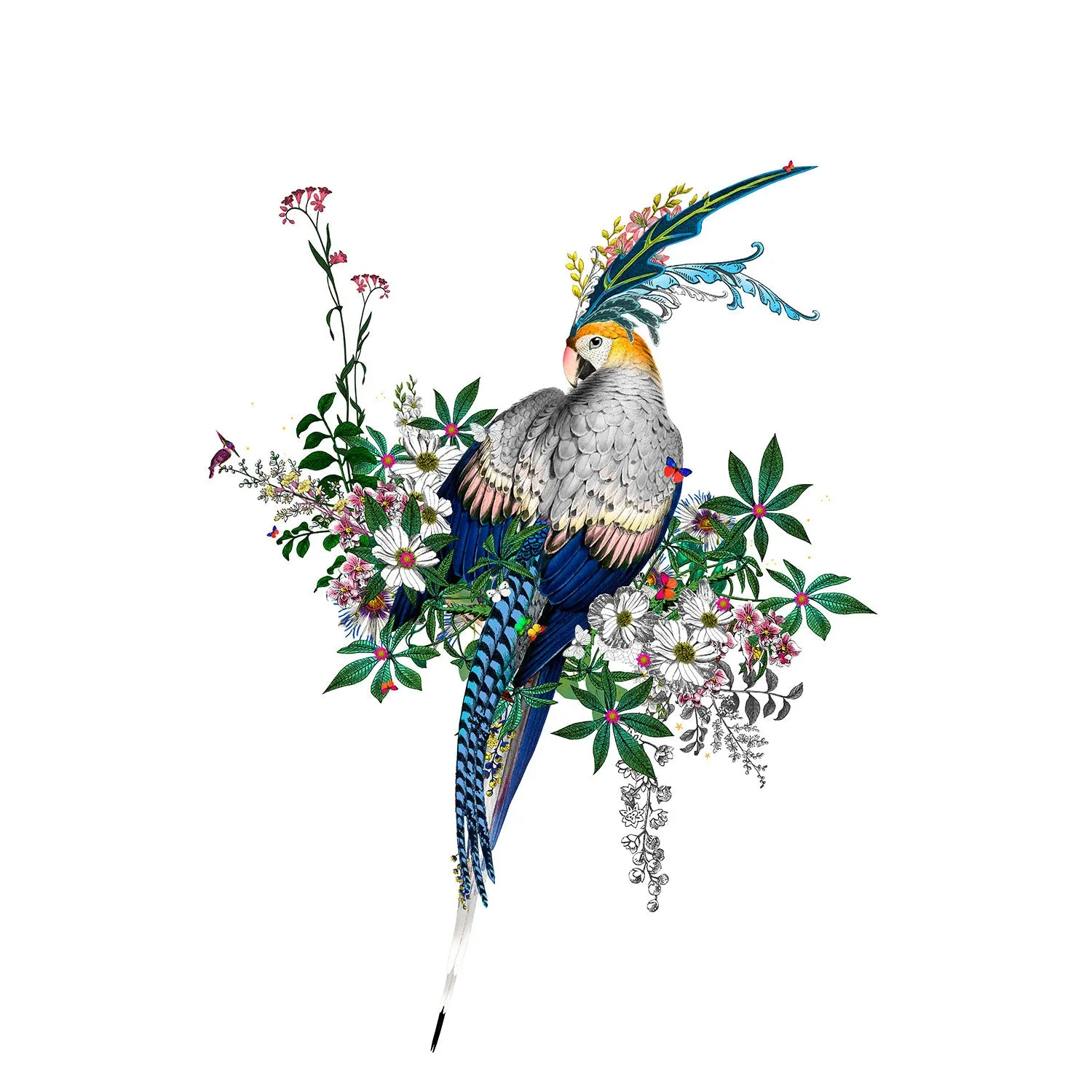 Flora & Fauna Lears - Art Print Collection