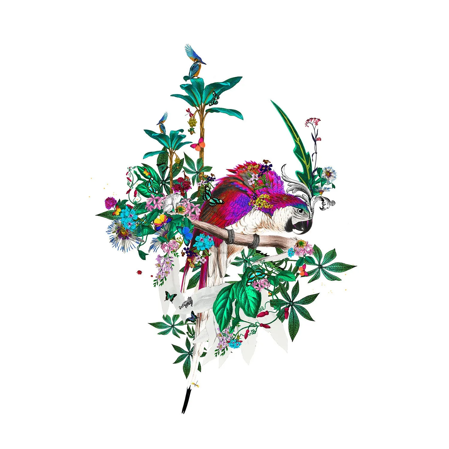 Flora & Fauna Lears - Art Print Collection