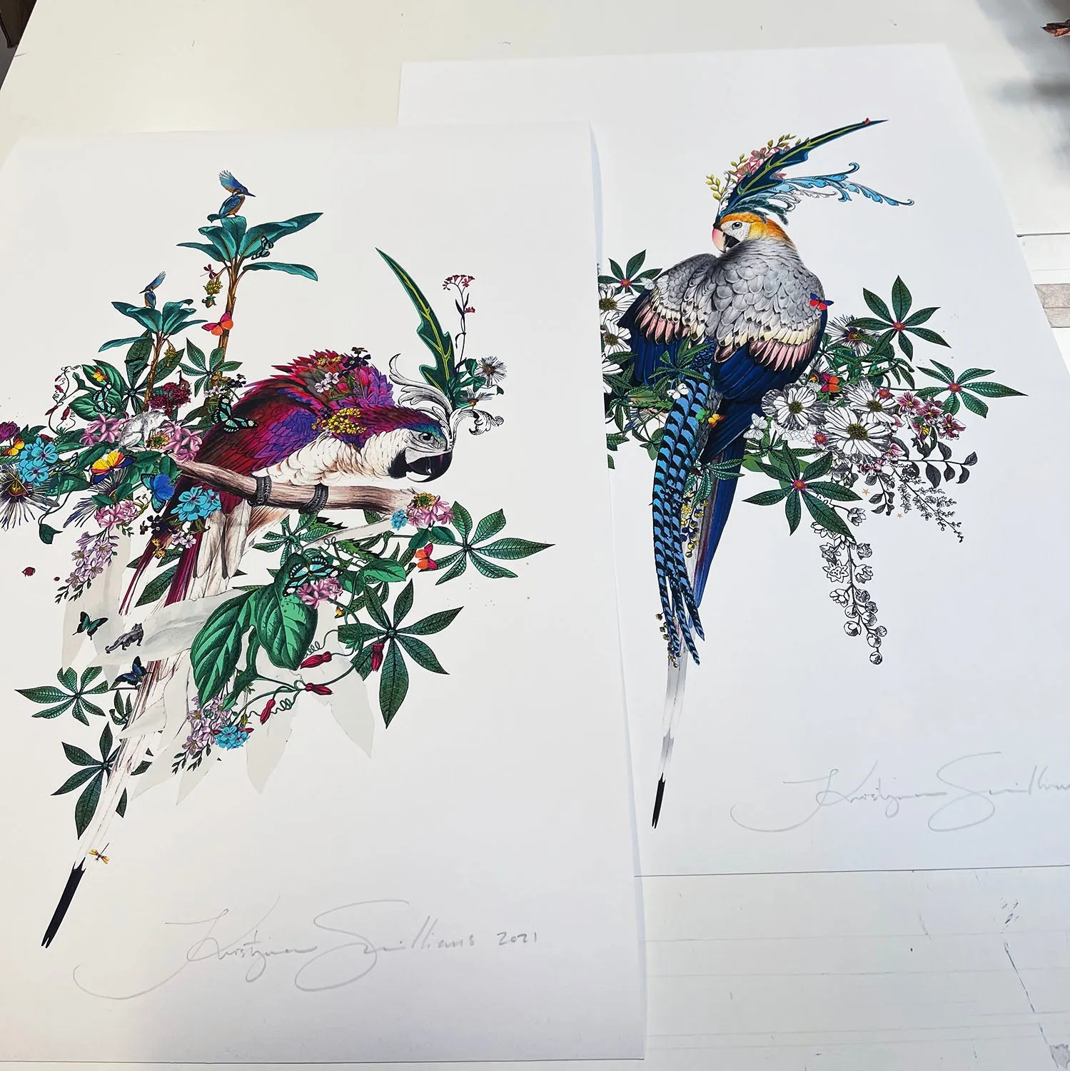 Flora & Fauna Lears - Art Print Collection