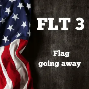 Flt 3 flag going away