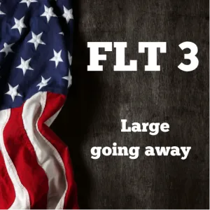 Flt 3 large going away