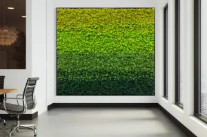 Gradient Ombre Preserved Moss Art