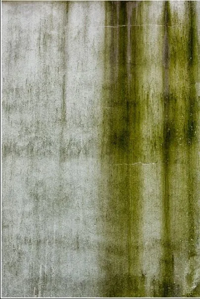 Green Weathering, View No. 3 Framed - Gladwyne, PA - Michael Spewak