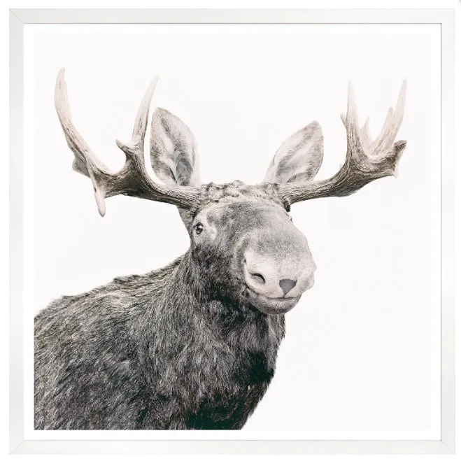 Happy Moose