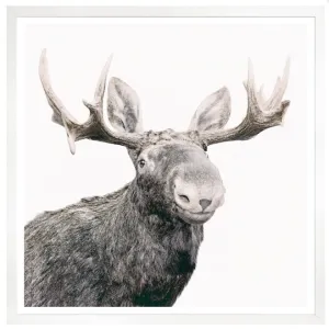 Happy Moose