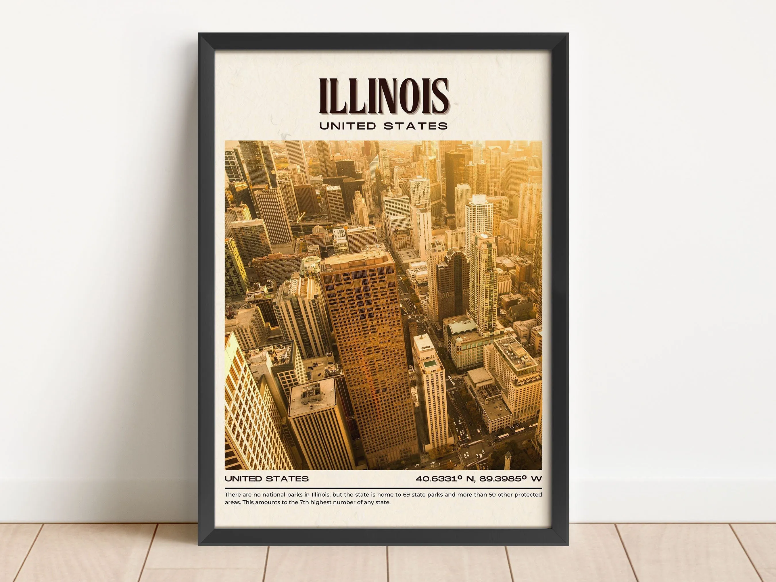 Illinois Vintage Wall Art, USA