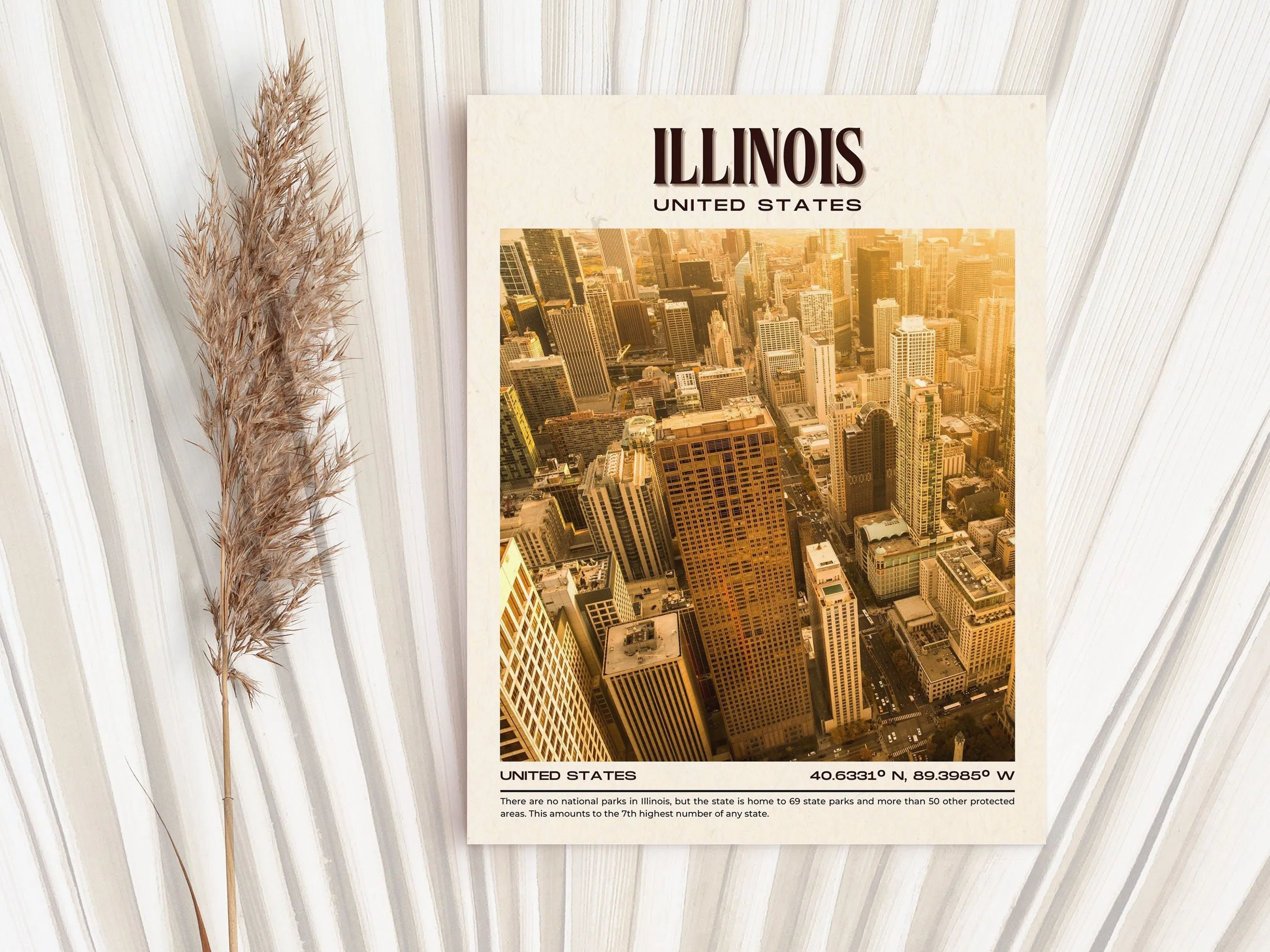 Illinois Vintage Wall Art, USA
