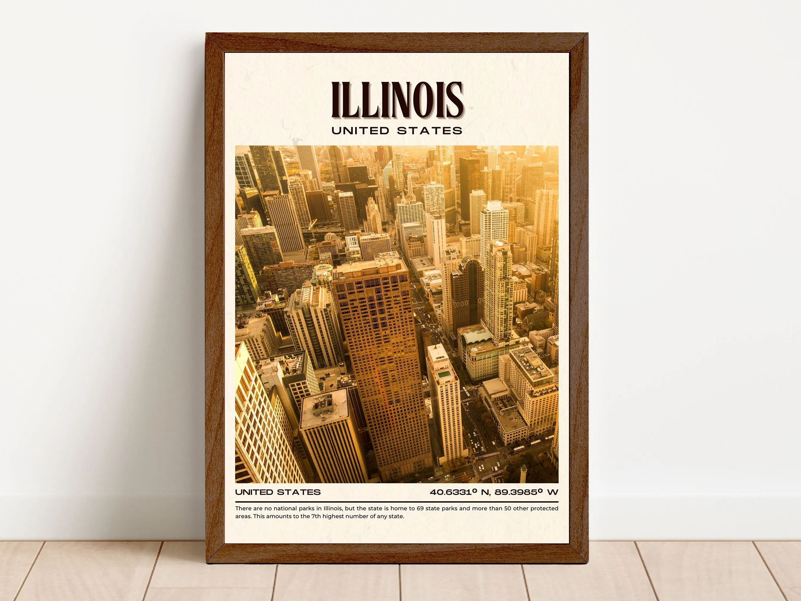 Illinois Vintage Wall Art, USA