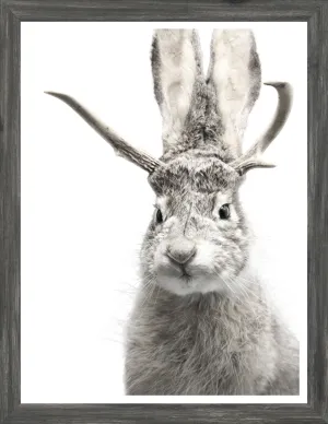 Jackalope Mini Grey