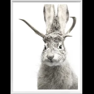 Jackalope