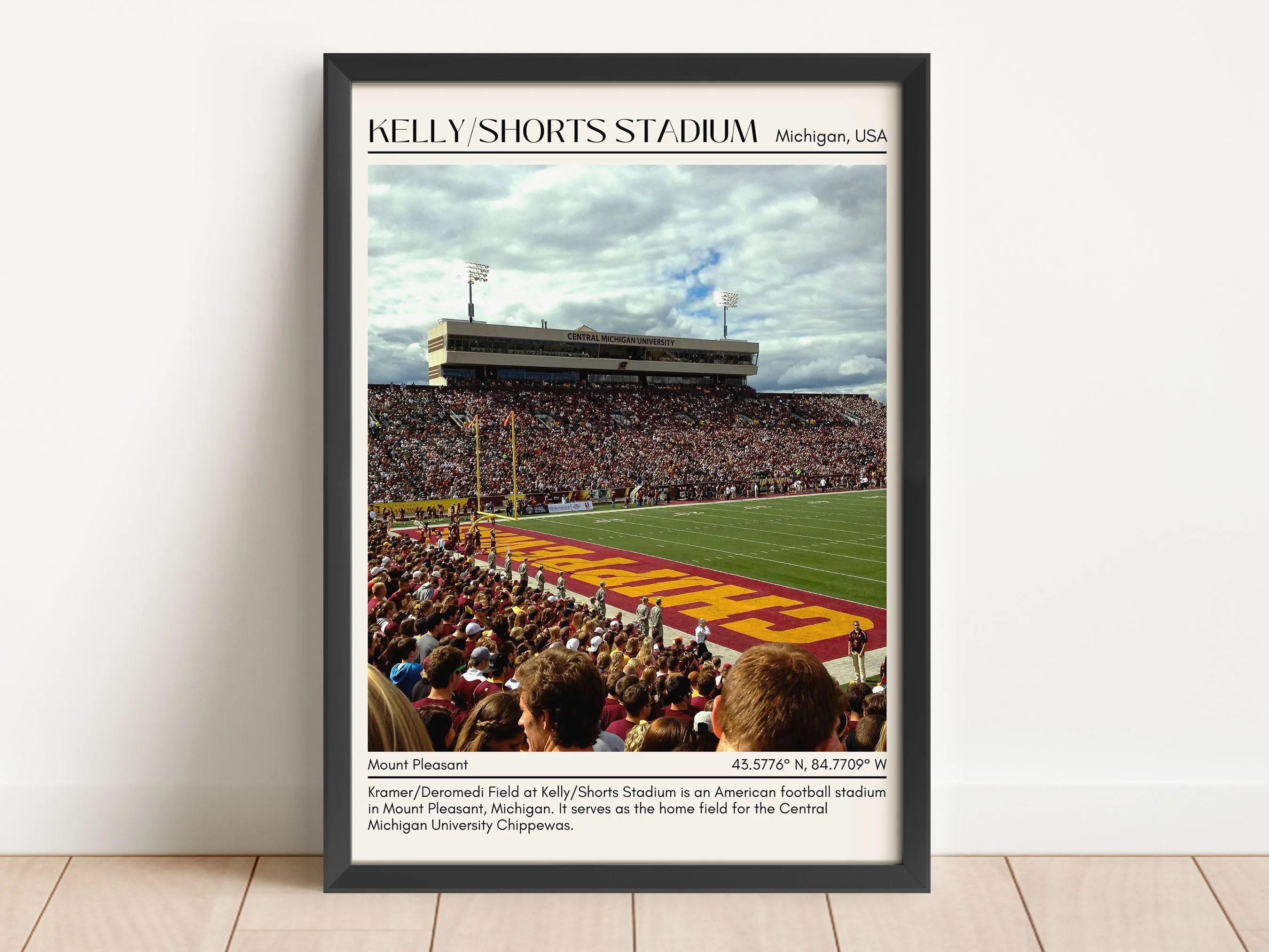 Kelly/Shorts Stadium Football Minimal Wall Art
