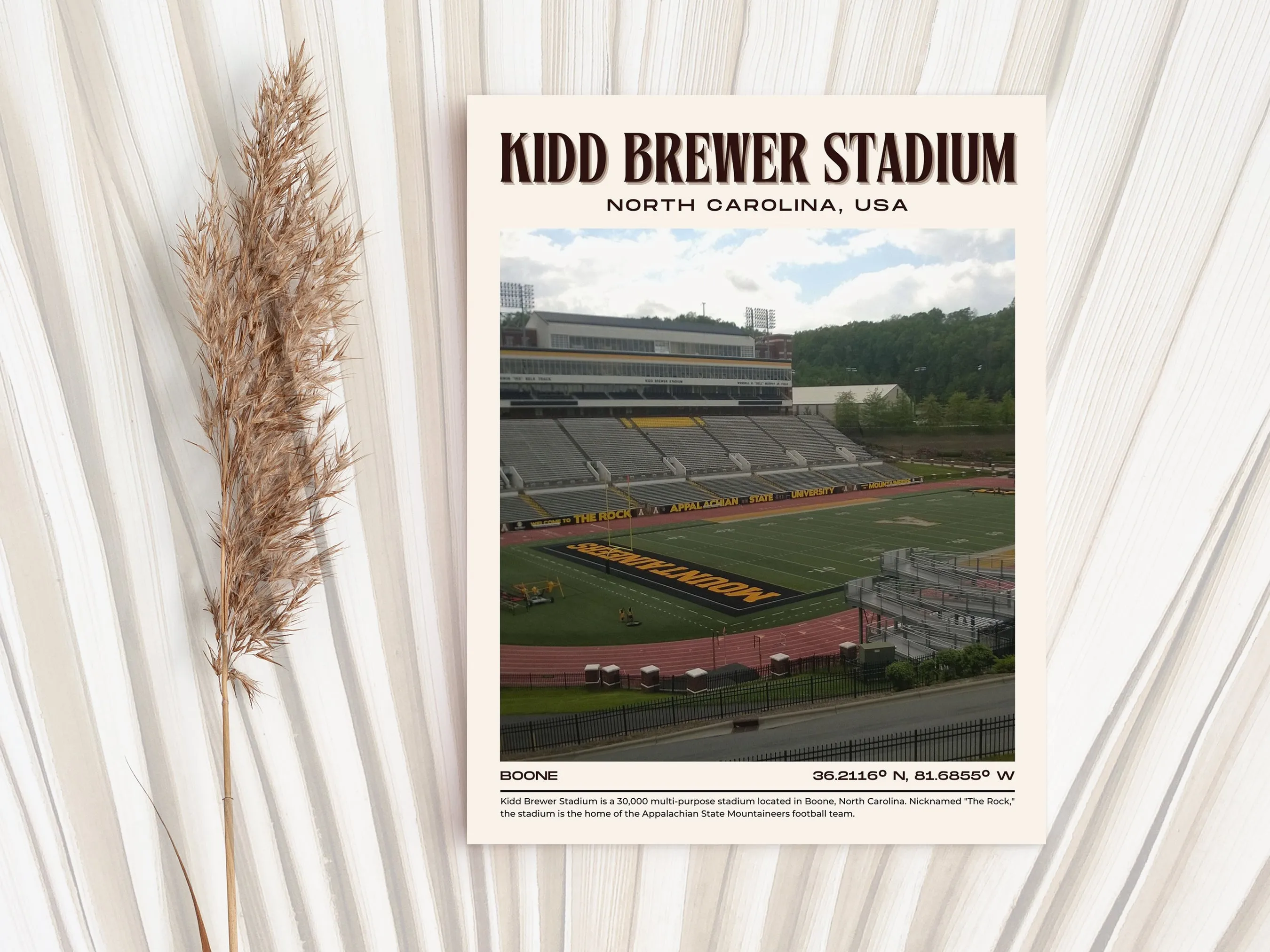 Kidd Brewer Stadium Football  Retro Wall Art