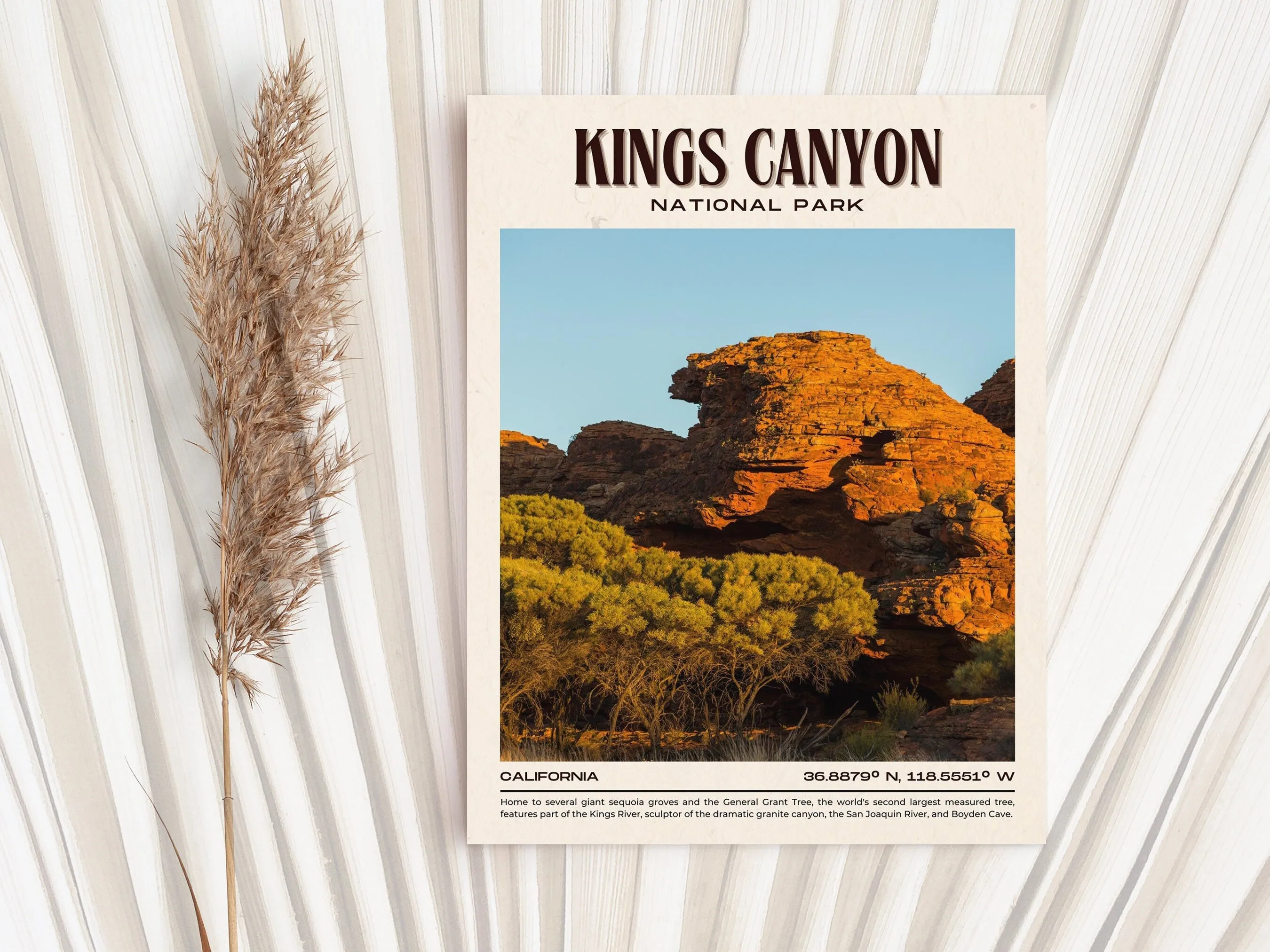 Kings Canyon National Park Retro Wall Art, California, USA