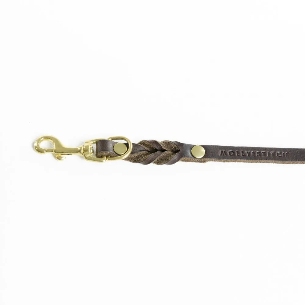 Laisse pour chien en cuir souple simple (8 couleurs)