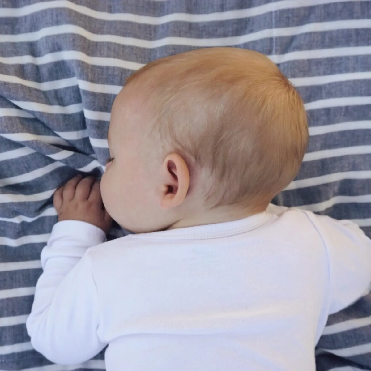 Lifetime Blanket (Toddler Blanket) -Clean Navy and Cream Breton Stripe