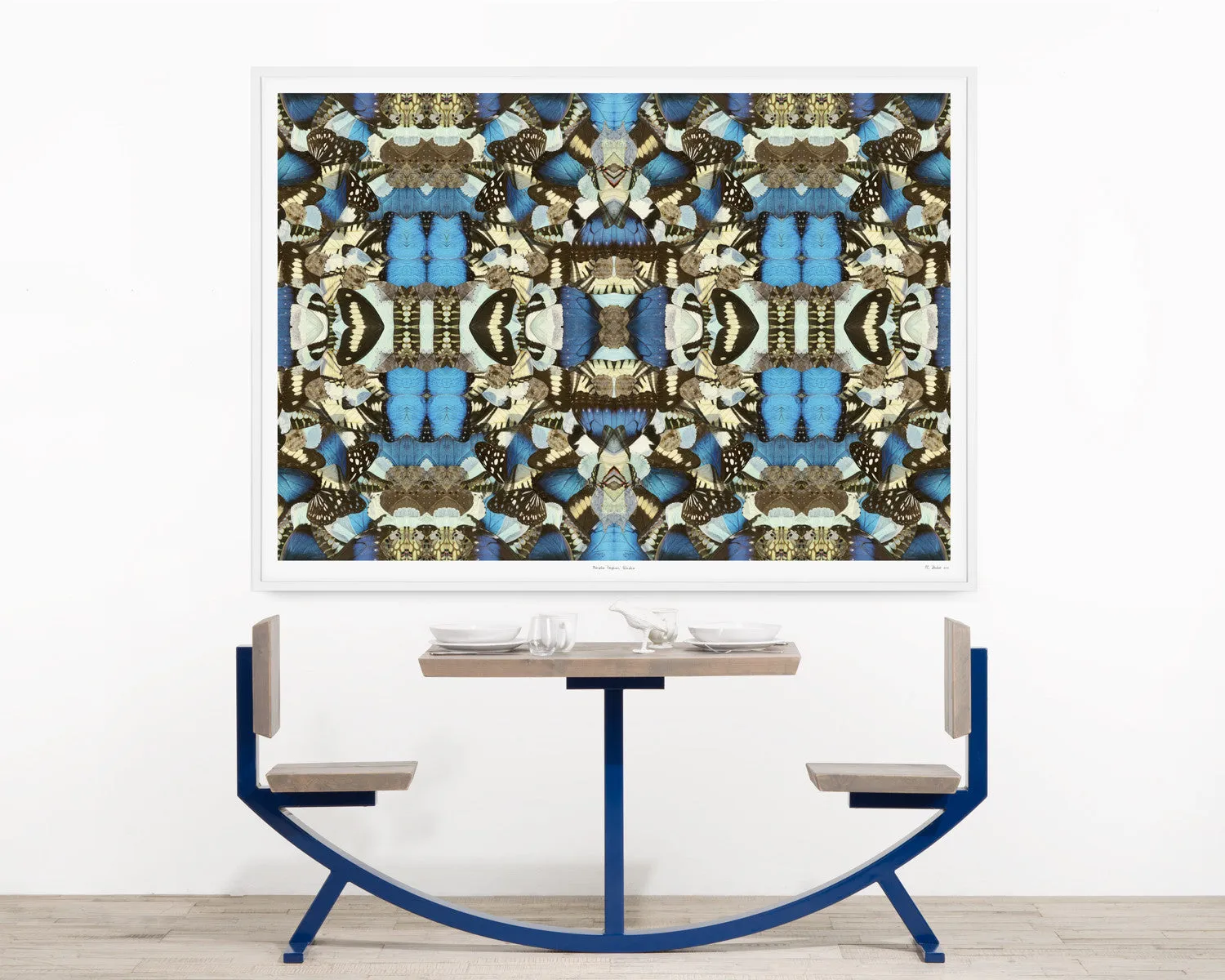 Morpho Emperor Peleides - Natural Curiosities