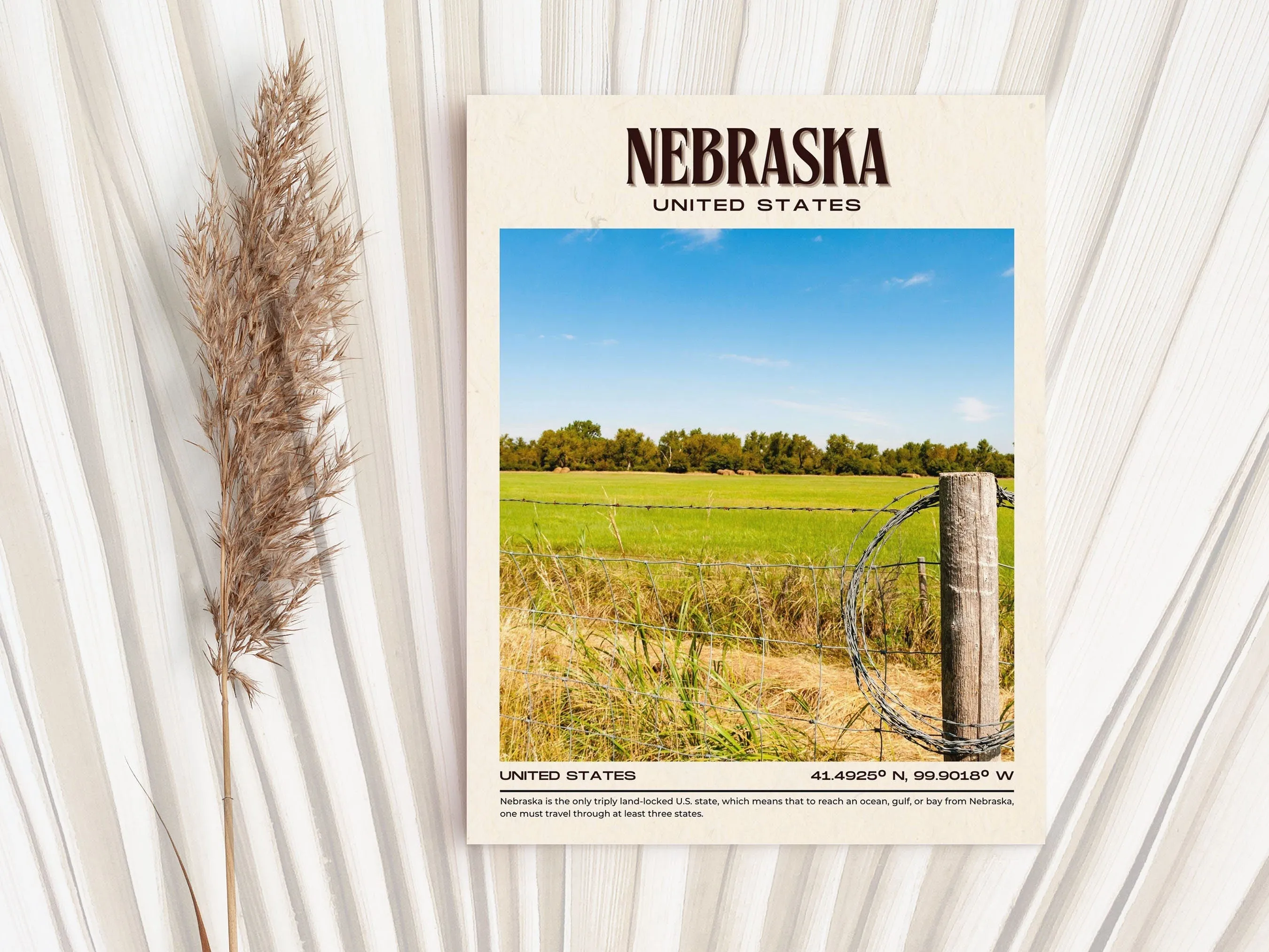 Nebraska Vintage Wall Art, USA