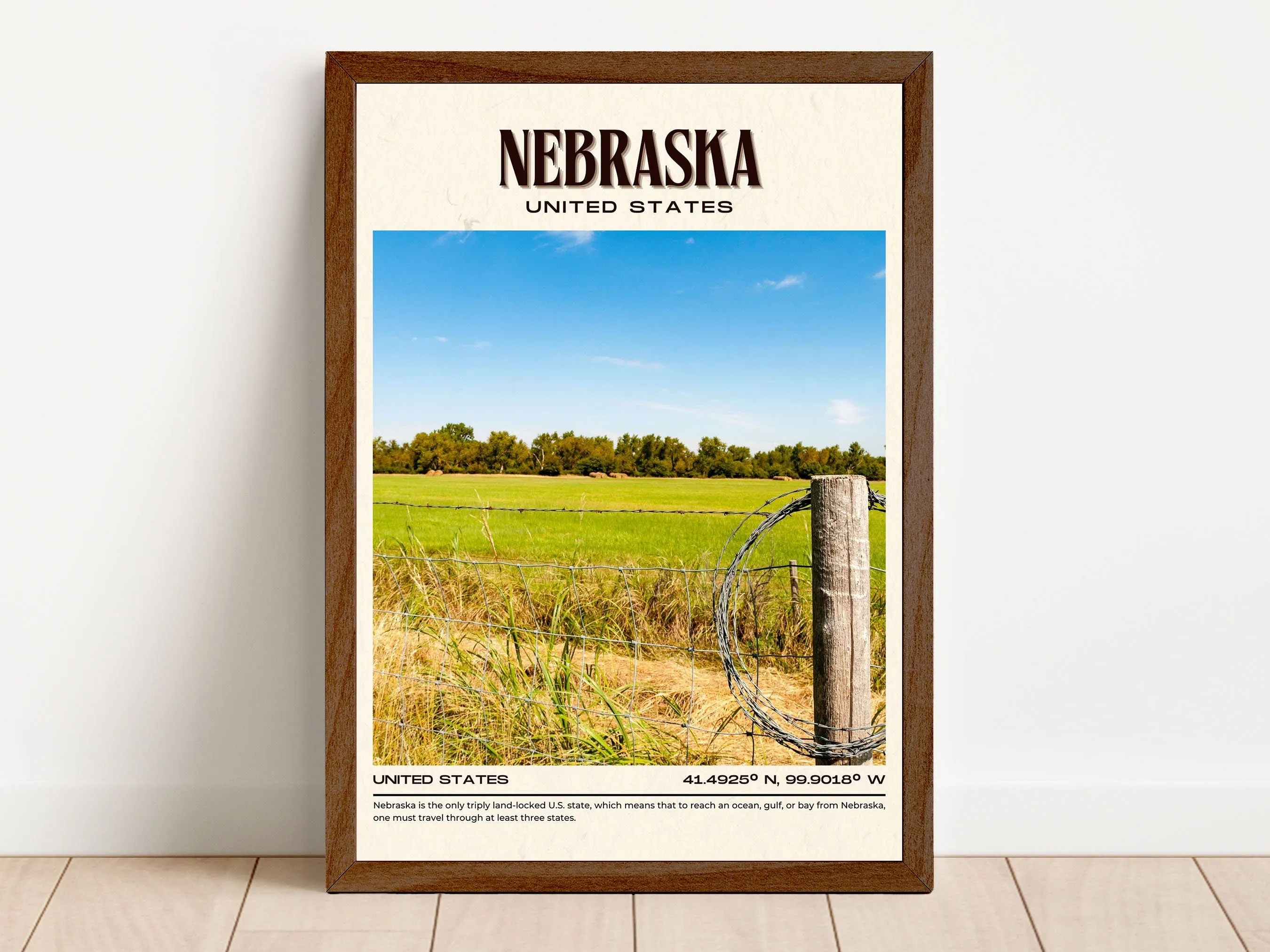 Nebraska Vintage Wall Art, USA