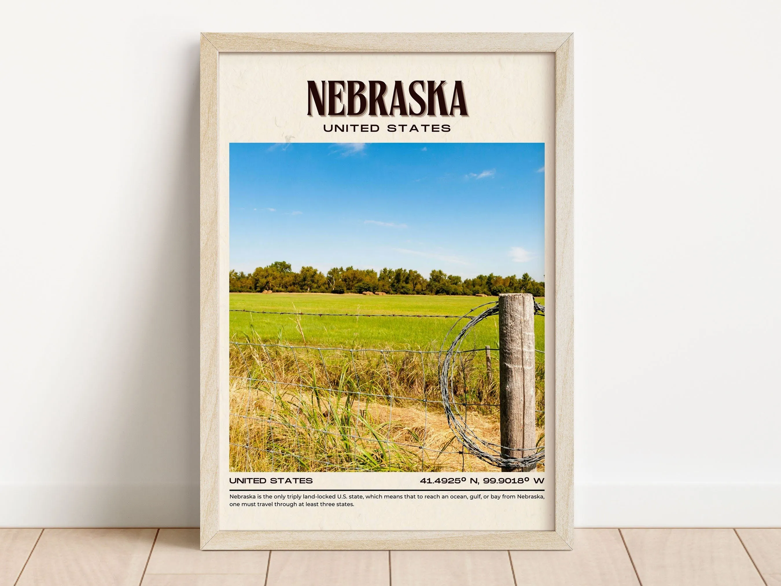 Nebraska Vintage Wall Art, USA