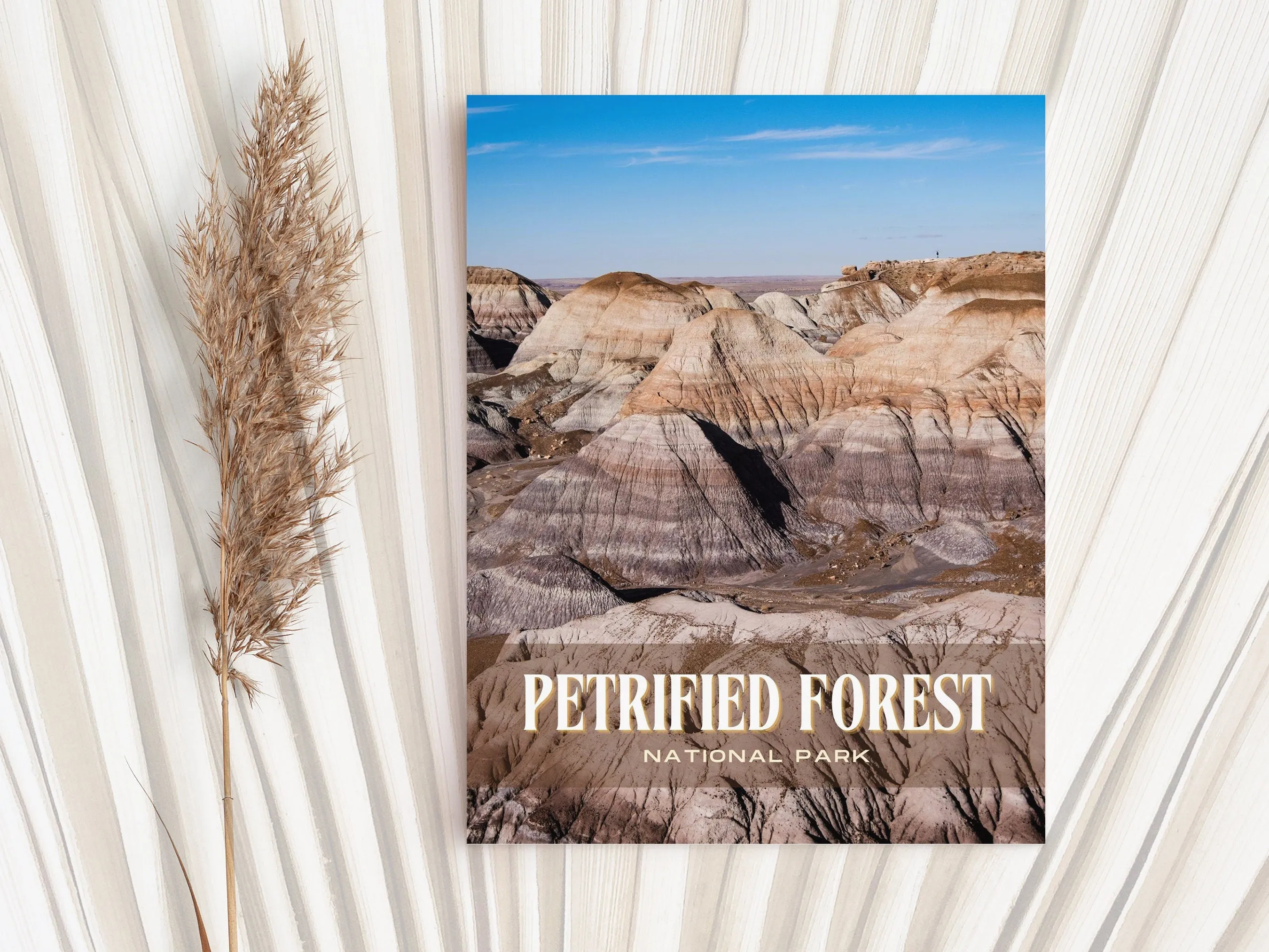 Petrified Forest Retro Wall Art, Arizona, USA