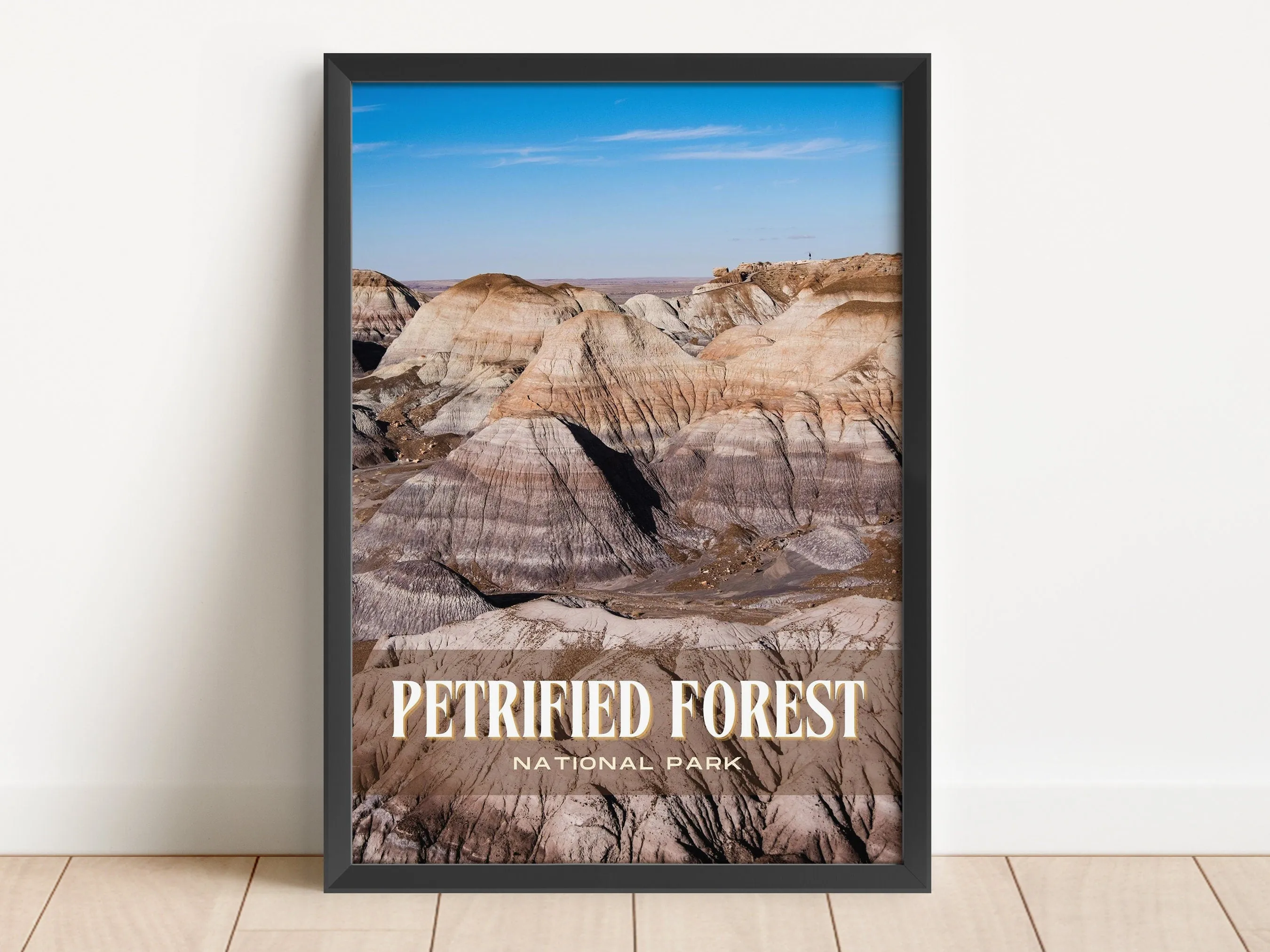 Petrified Forest Retro Wall Art, Arizona, USA
