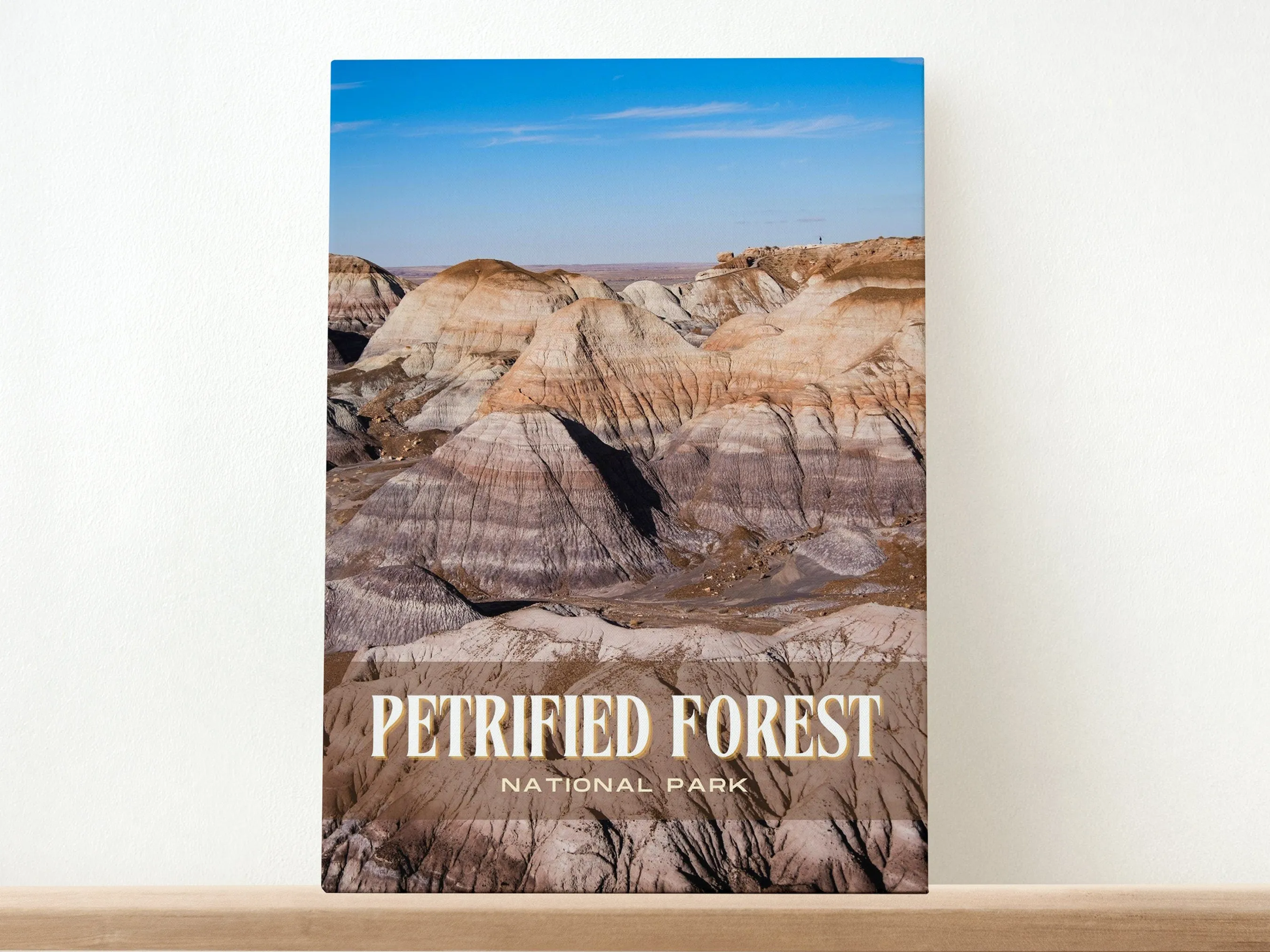 Petrified Forest Retro Wall Art, Arizona, USA